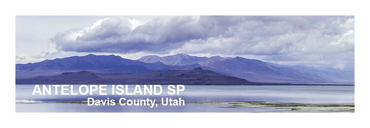 Antelope Island SP