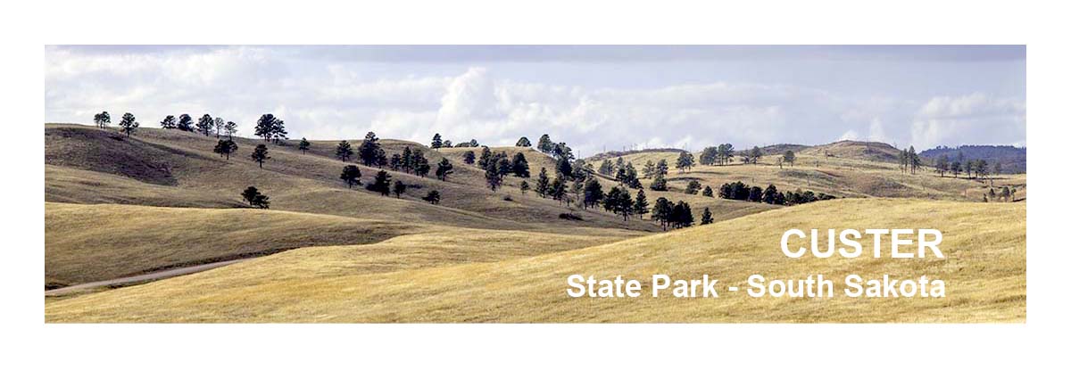 Custer State Park