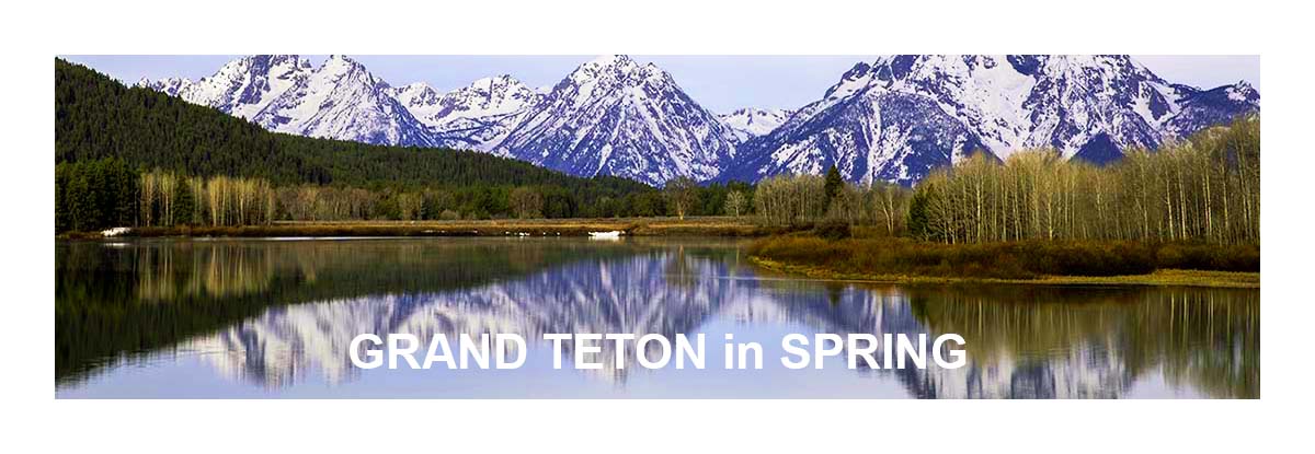 Grand Teion