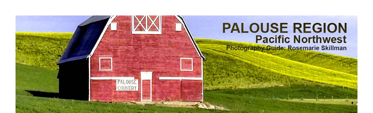 Spring in the Palouse