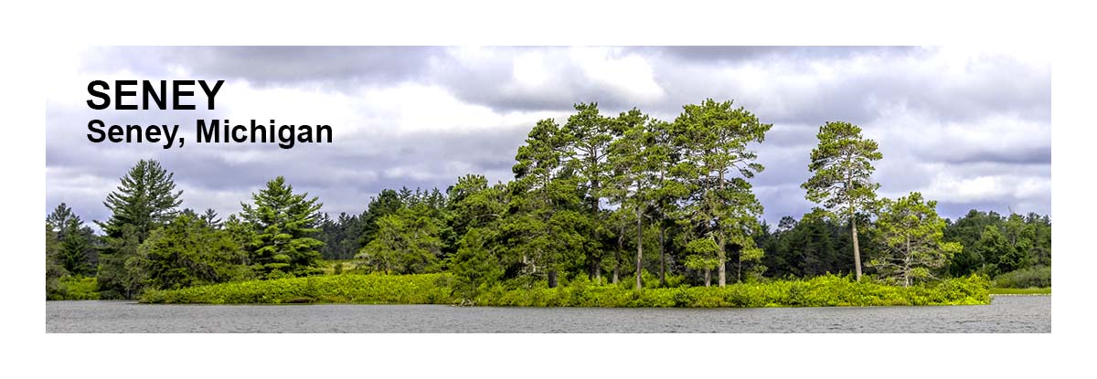 Seney NWR