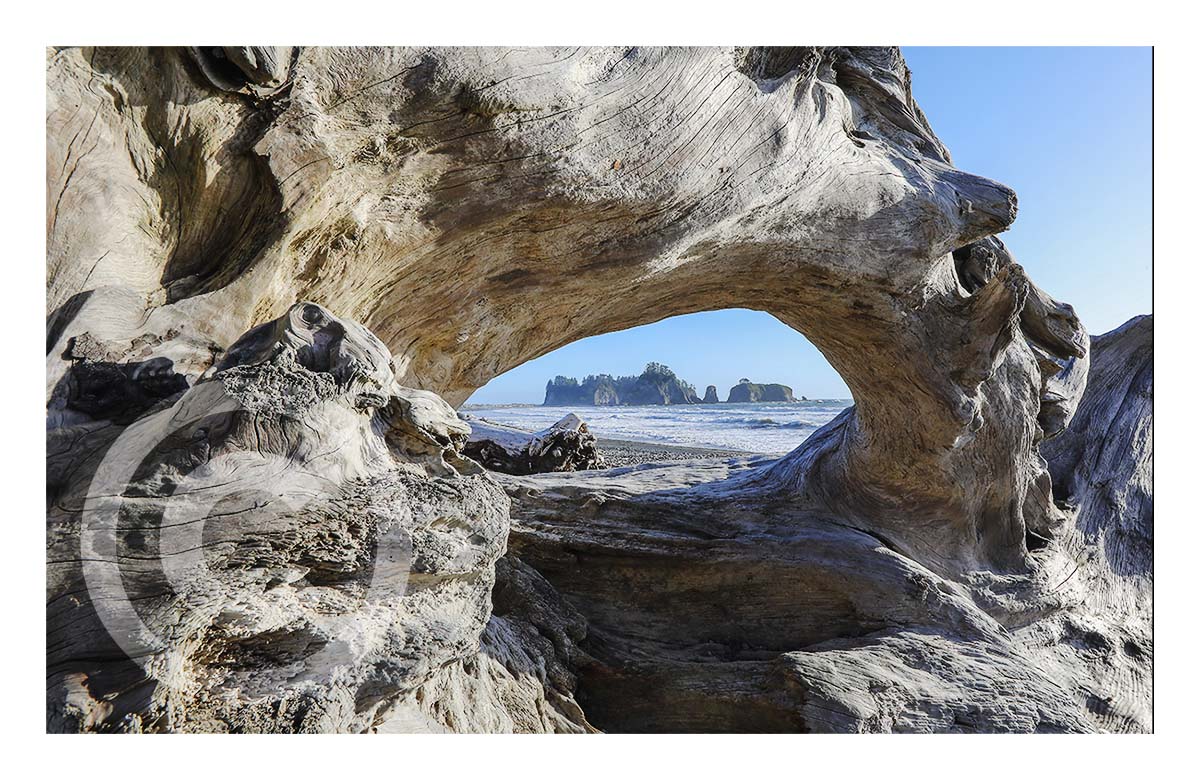 Rialto Beach