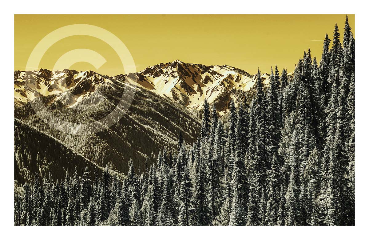 Bailey Ridge