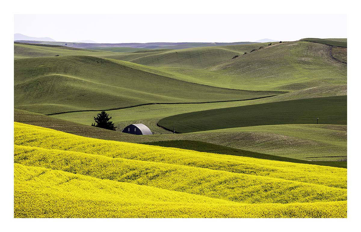 BCJ Spring in the Palouse