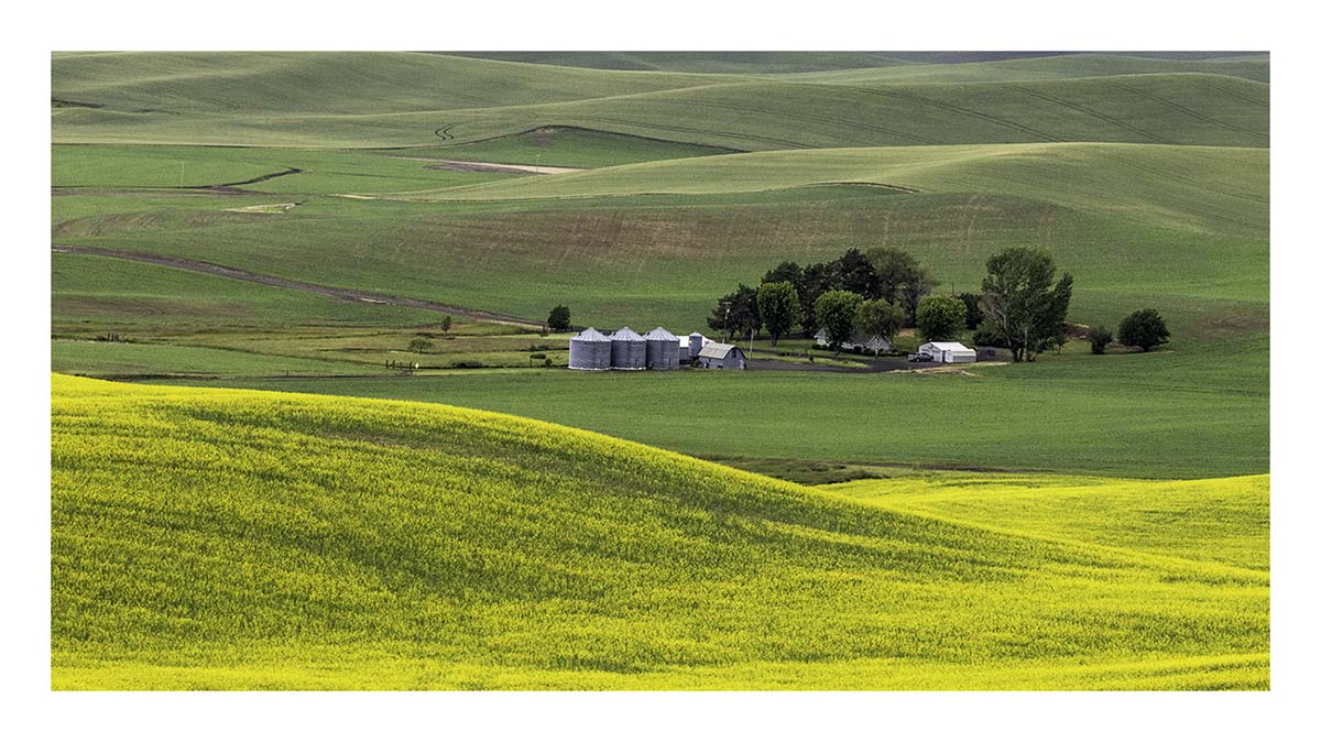 BCJ Spring in the Palouse
