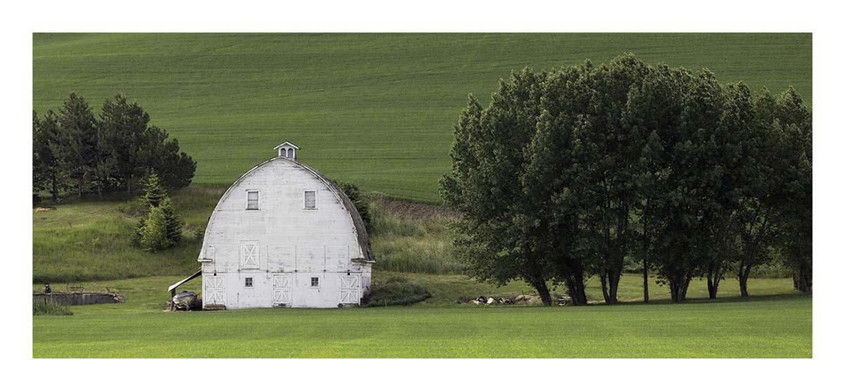 BCJ Spring in the Palouse