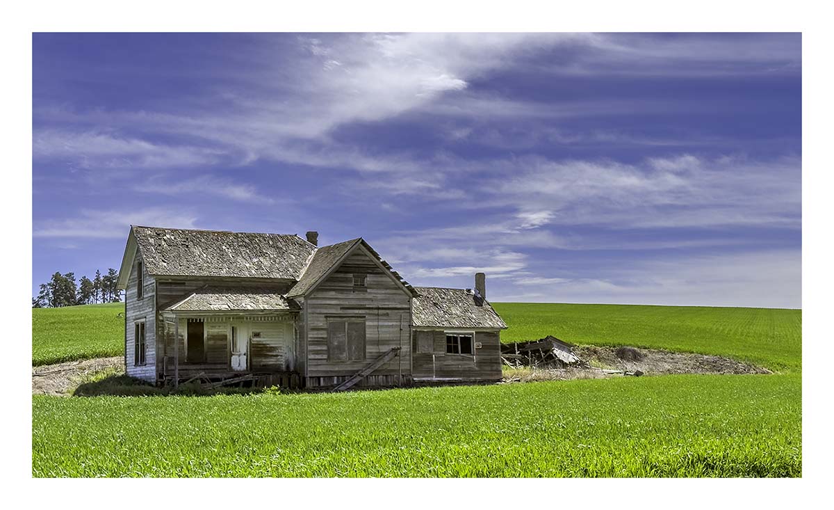 BCJ Spring in the Palouse