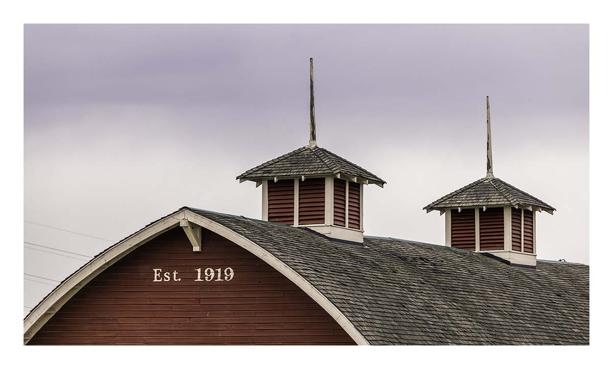 BCJ Spring in the Palouse