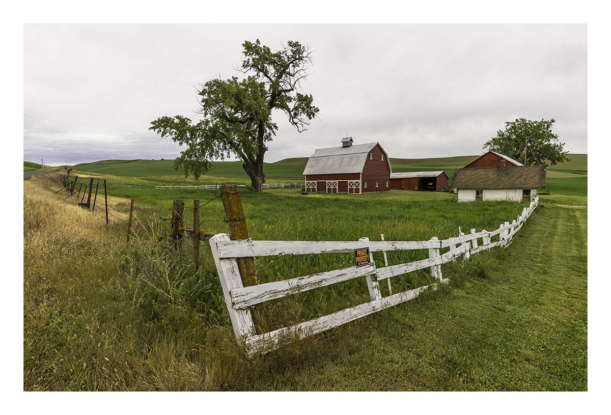BCJ Spring in the Palouse