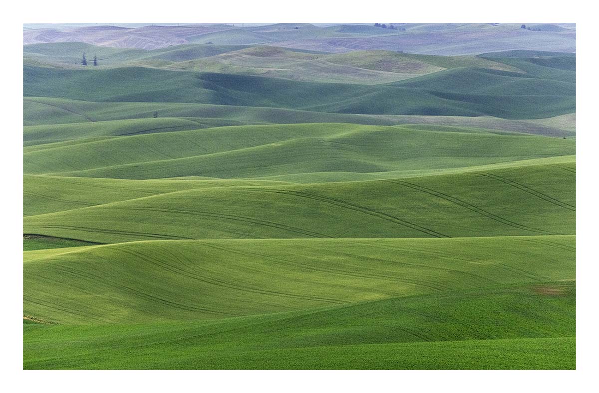 BCJ Spring in the Palouse