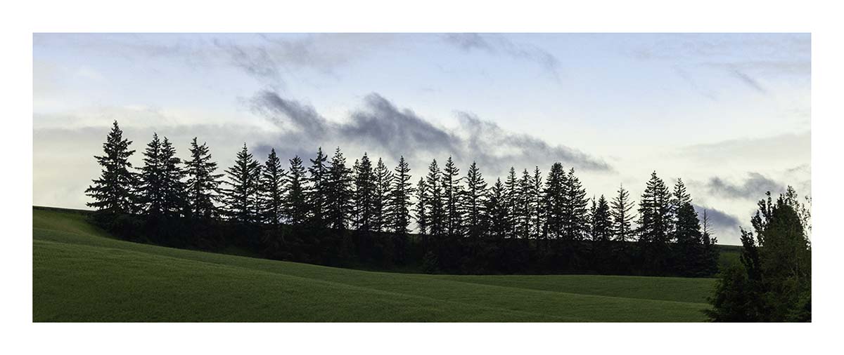 BCJ Spring in the Palouse