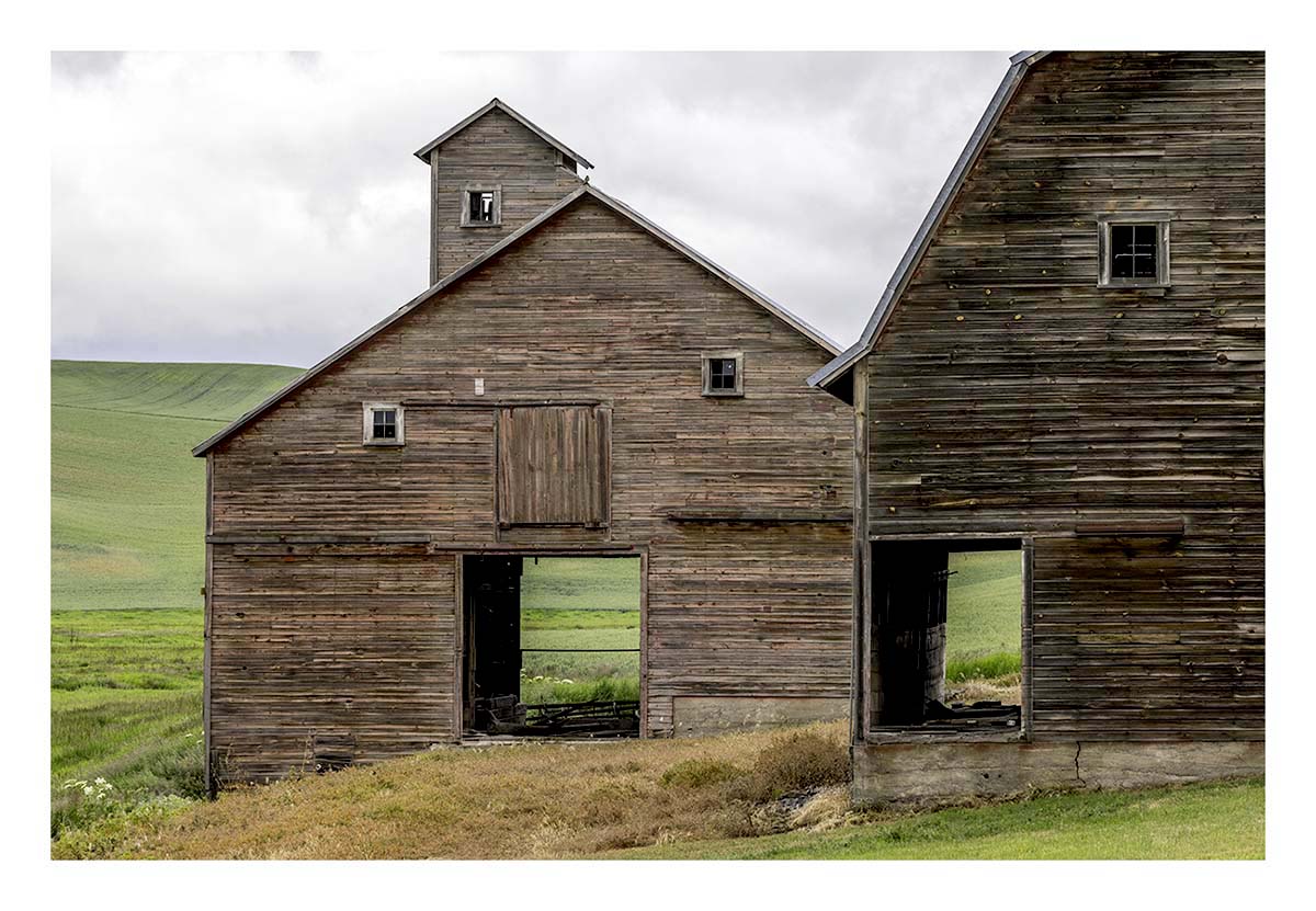 BCJ Spring in the Palouse