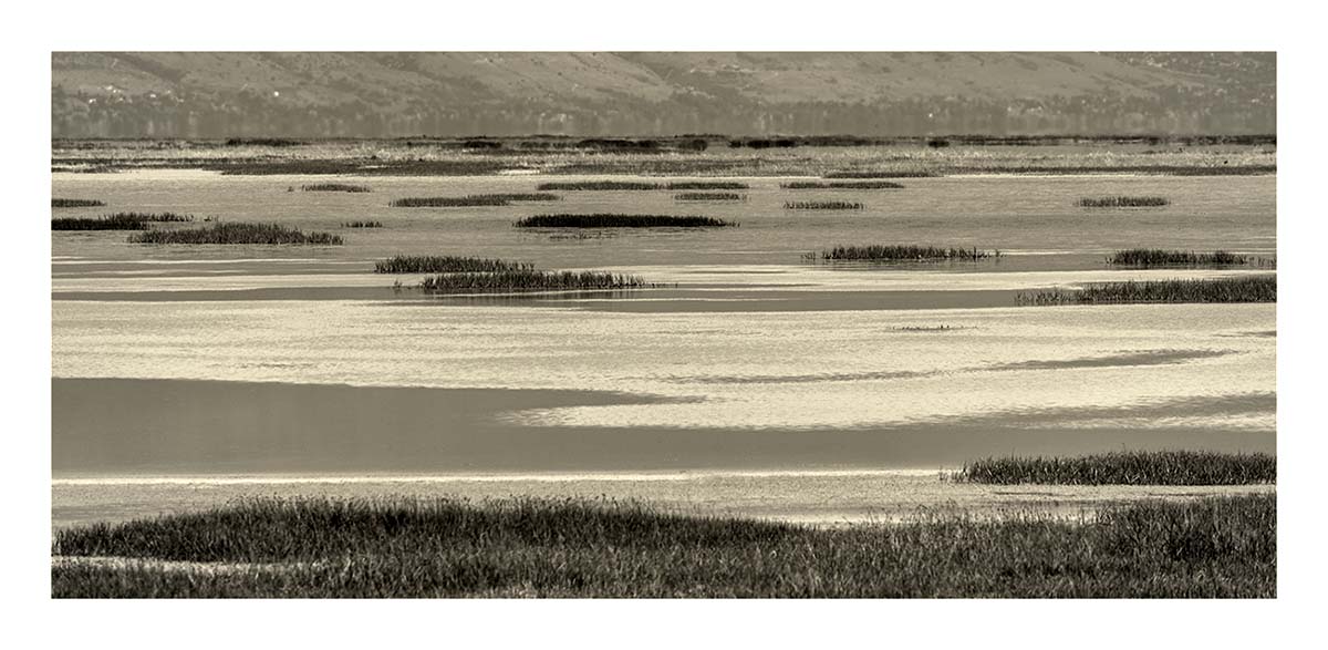 Antelope Island SP