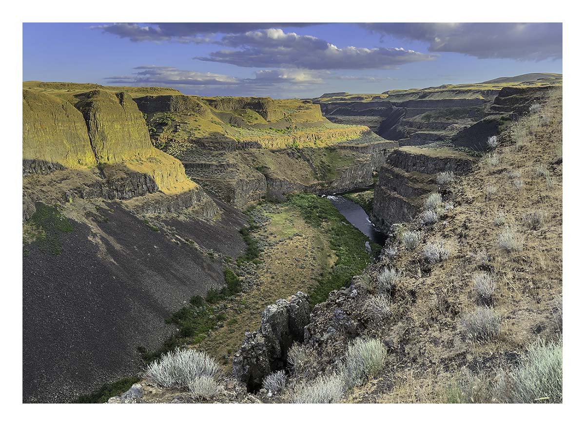 BCJ Spring in the Palouse