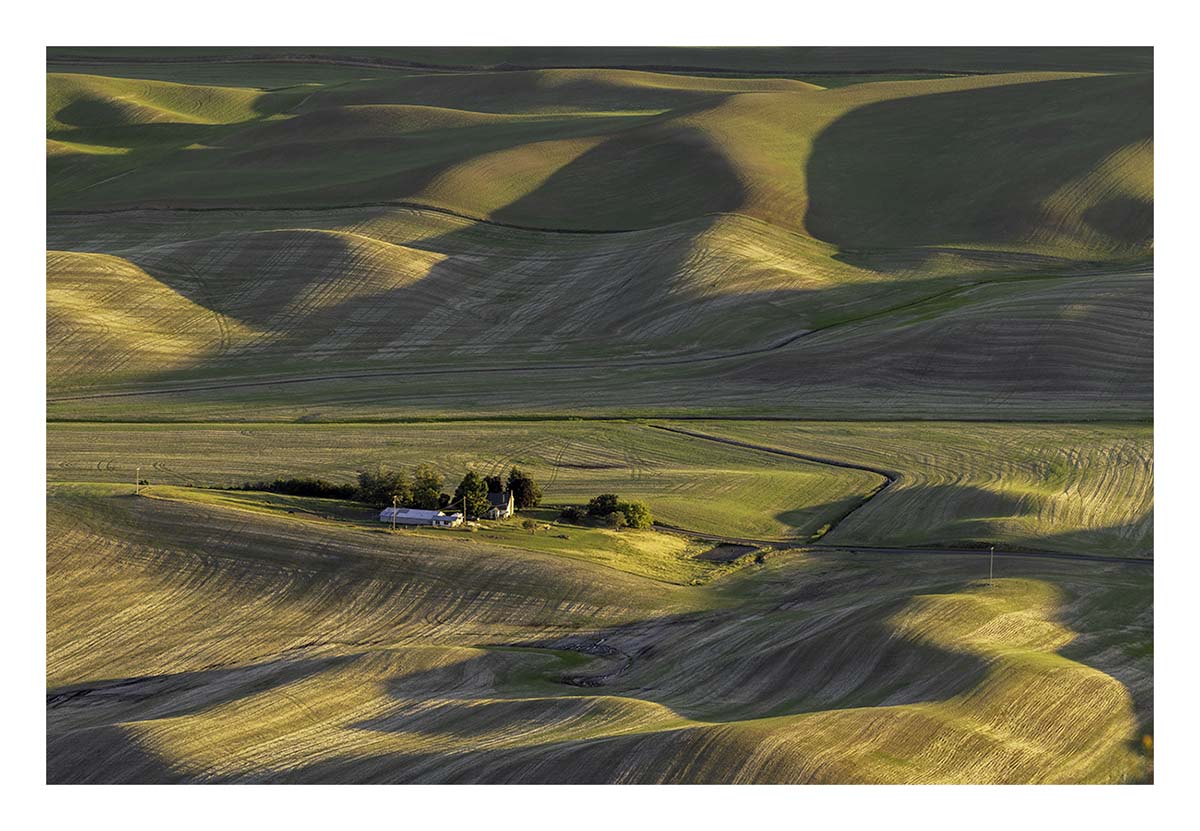 BCJ Spring in the Palouse