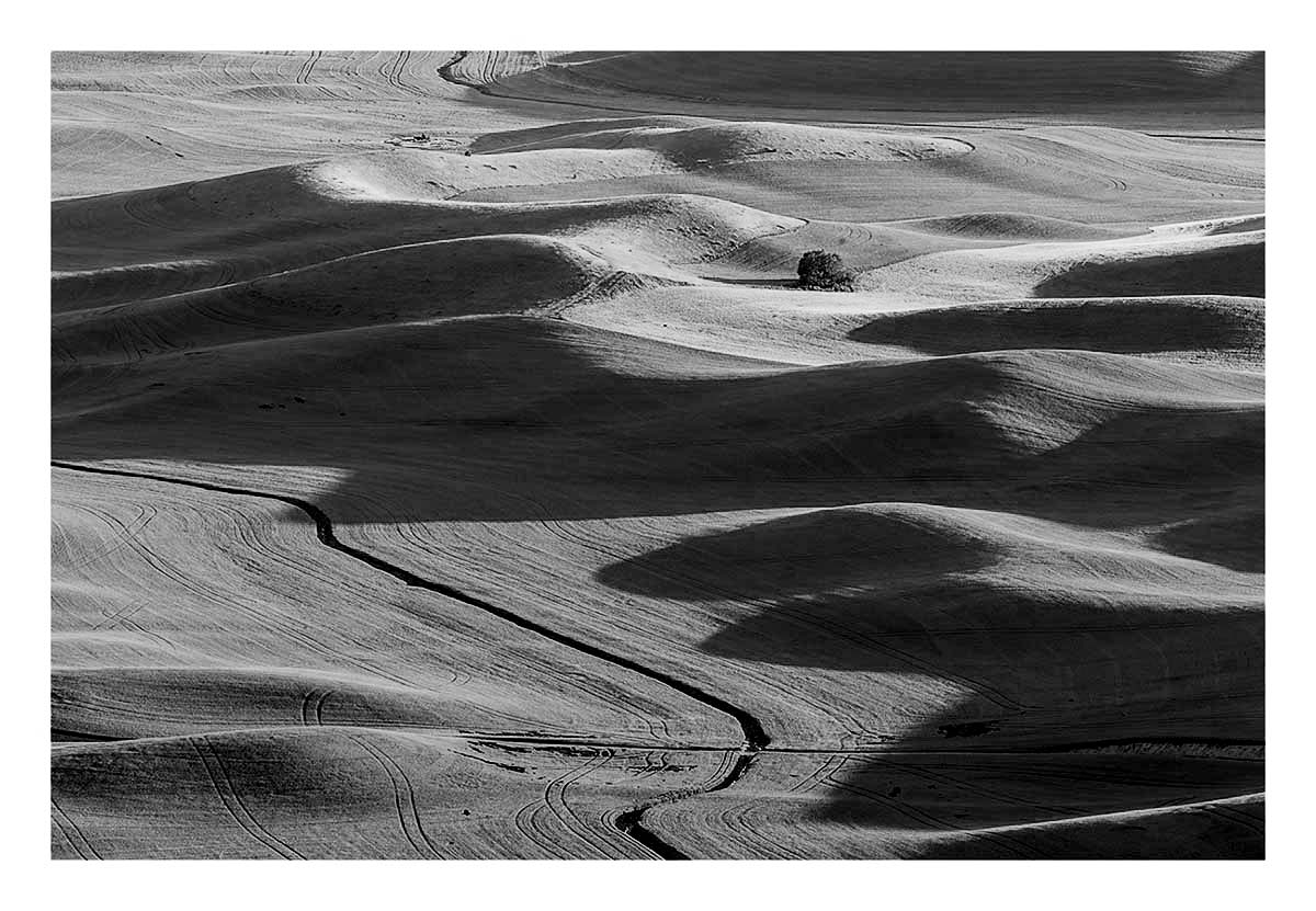 BCJ Spring in the Palouse