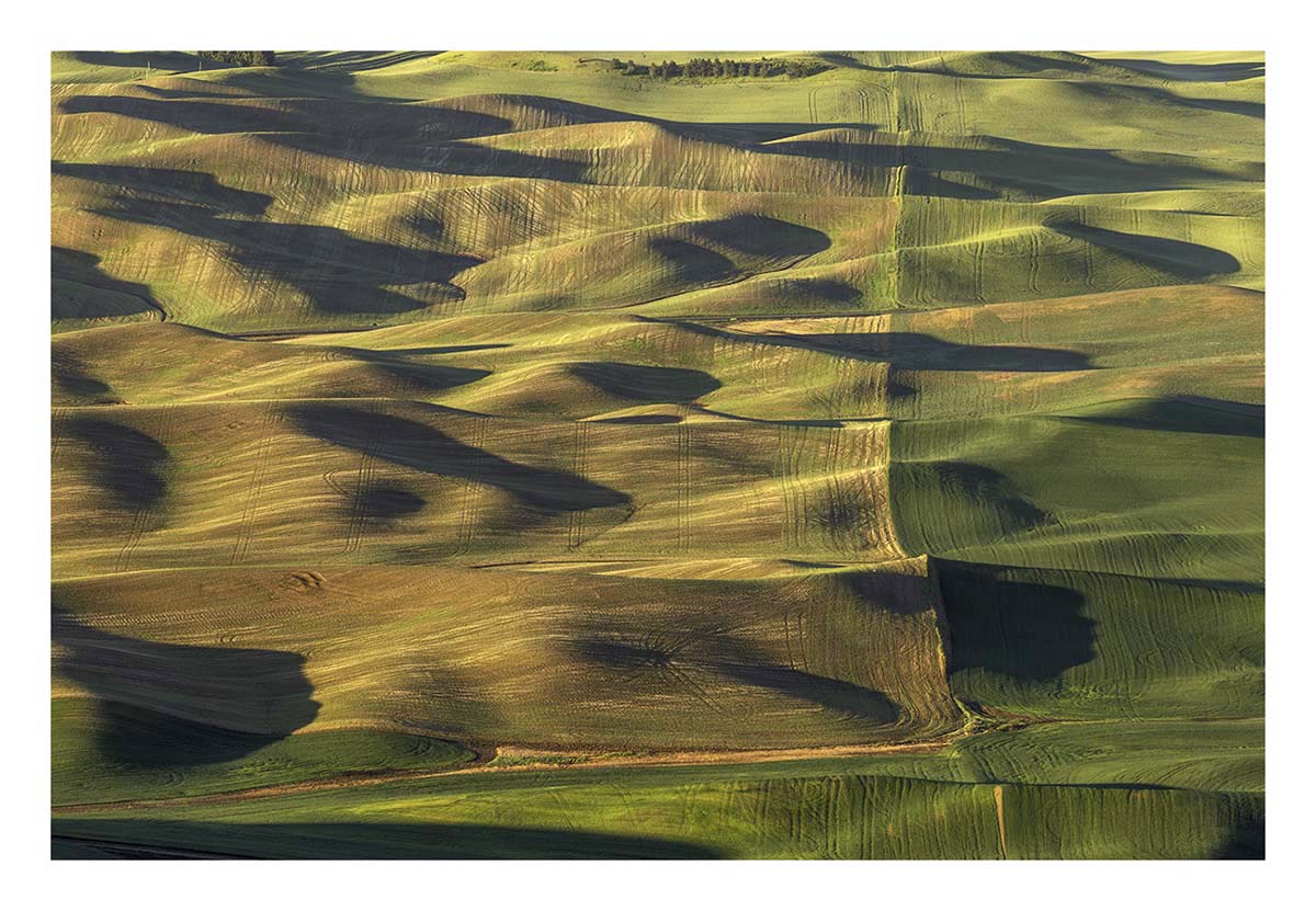 BCJ Spring in the Palouse