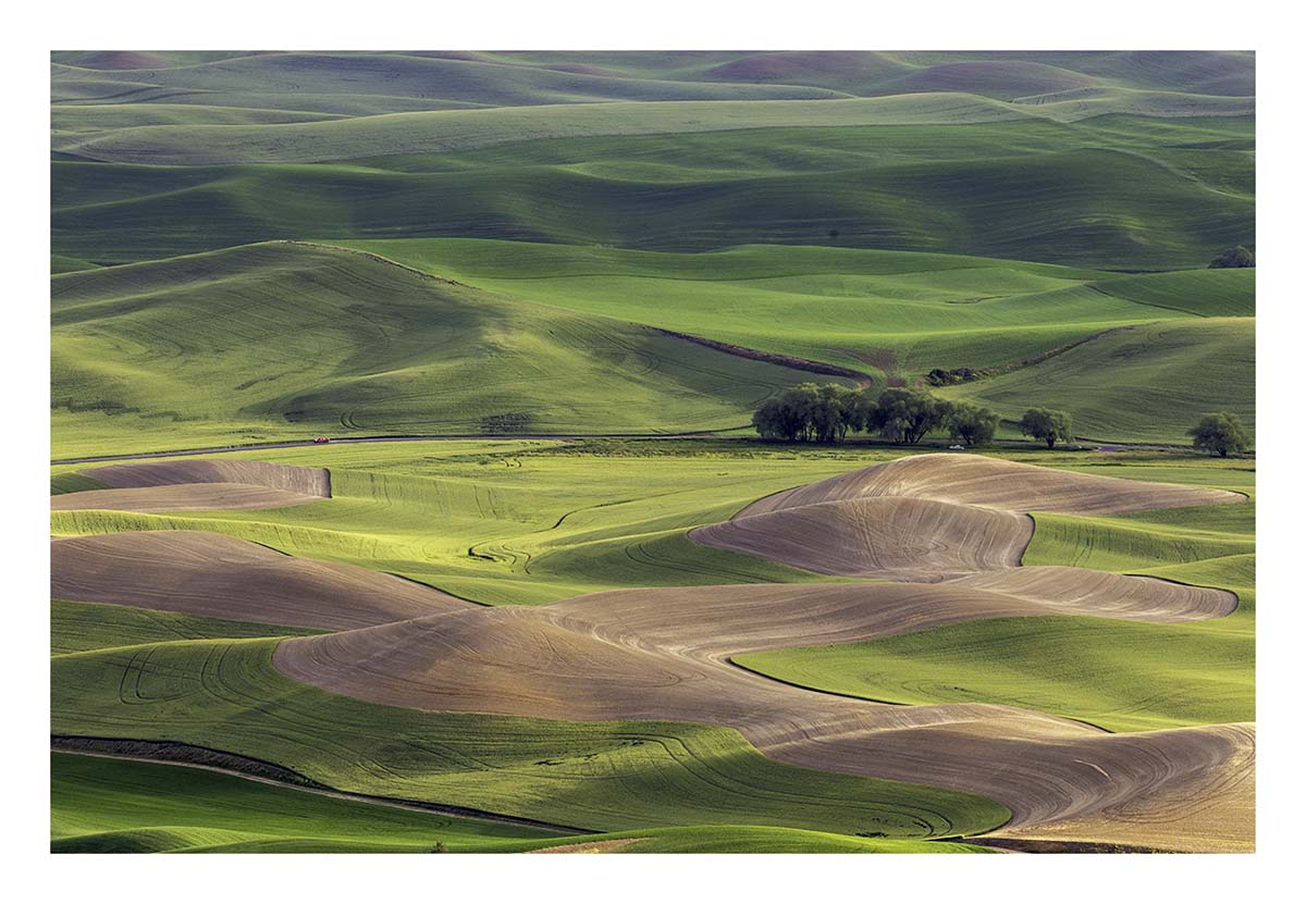 BCJ Spring in the Palouse