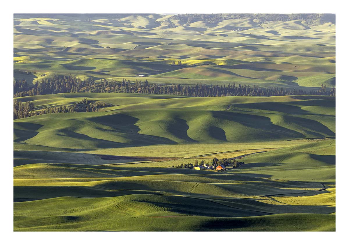 BCJ Spring in the Palouse