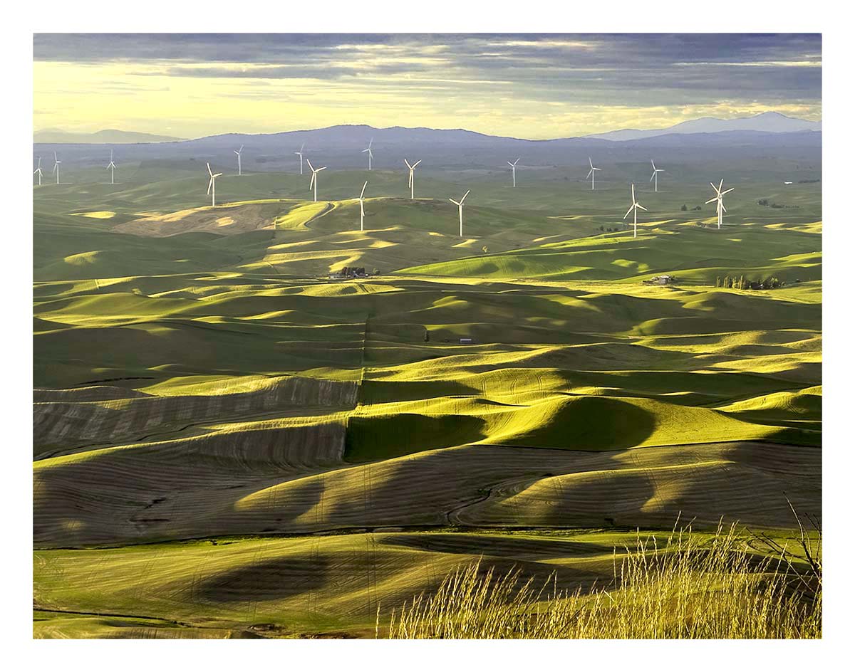 BCJ Spring in the Palouse
