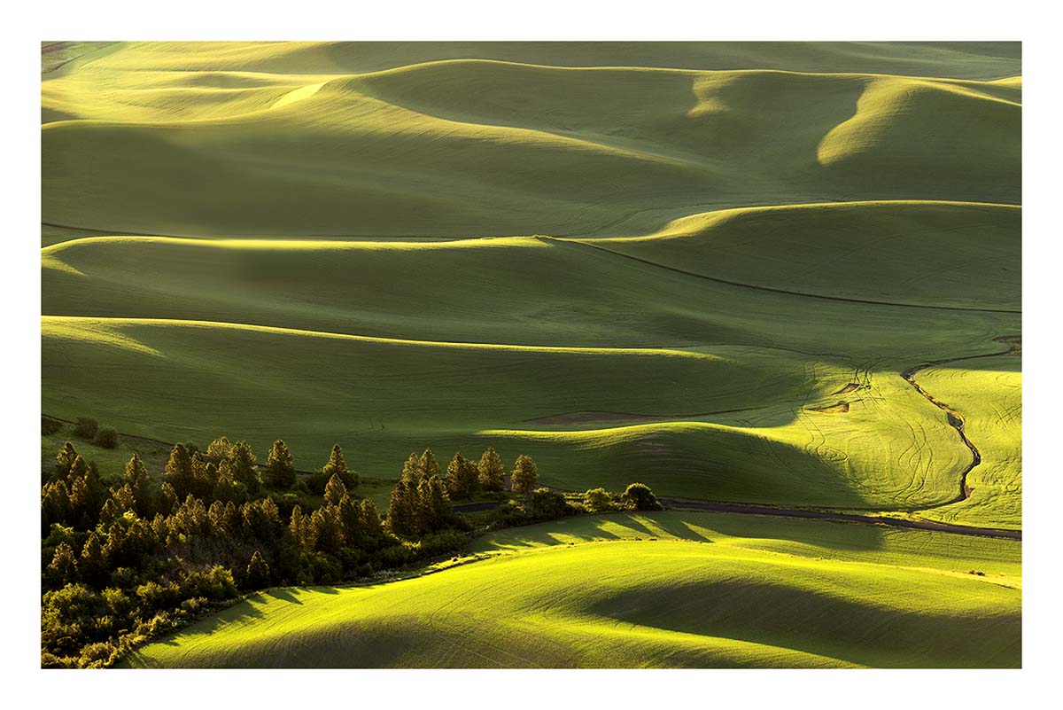 BCJ Spring in the Palouse