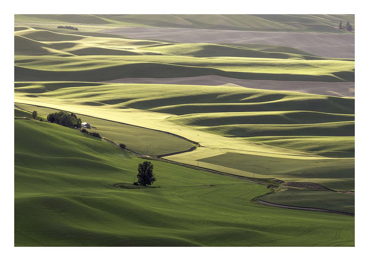 BCJ Spring in the Palouse