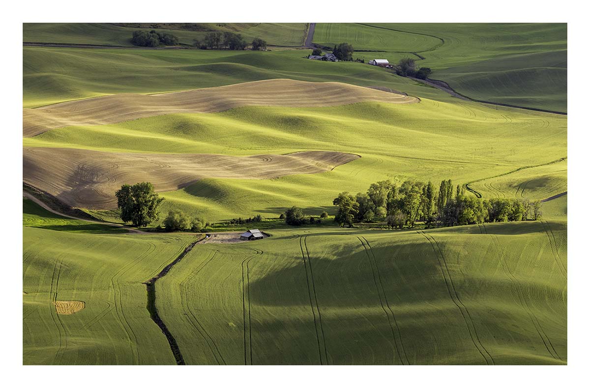 BCJ Spring in the Palouse